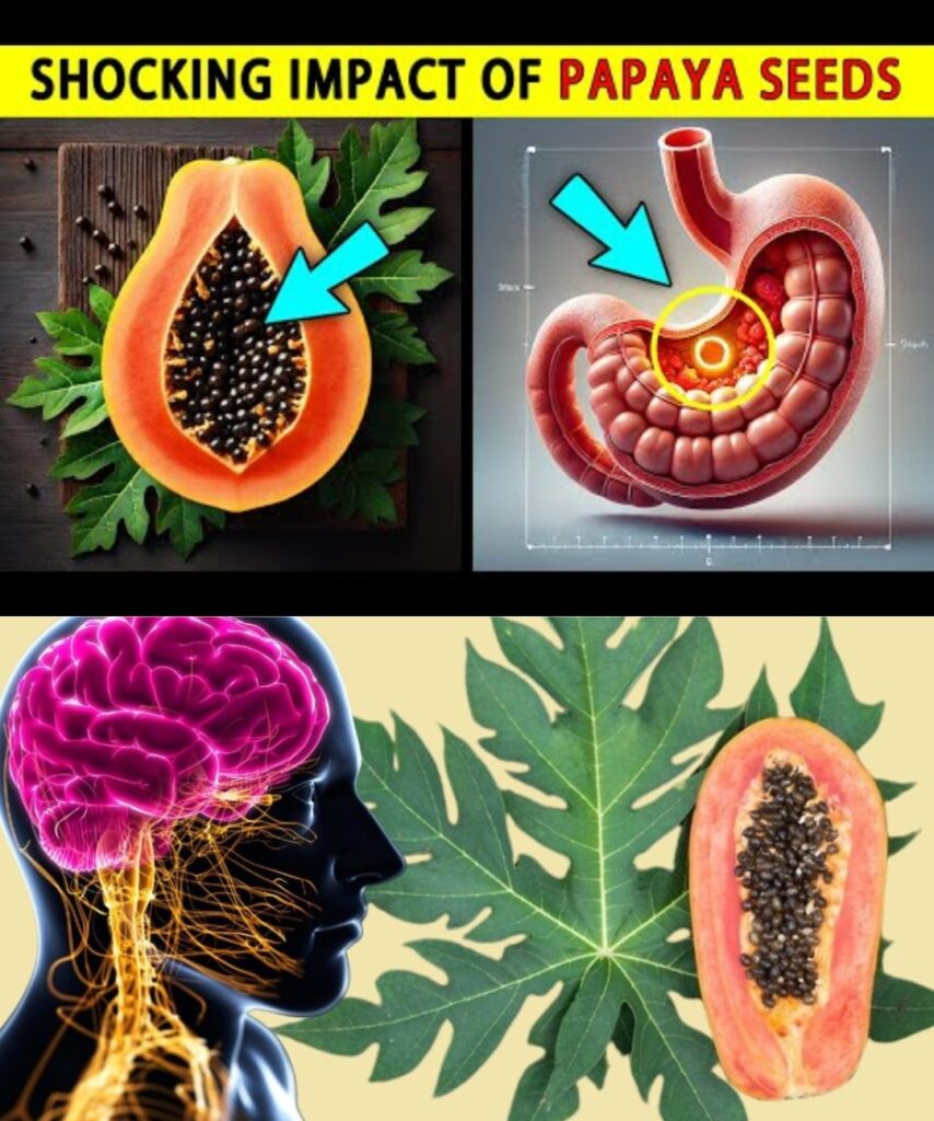 11 Impressive Papaya Leaf Benefits for Your Health