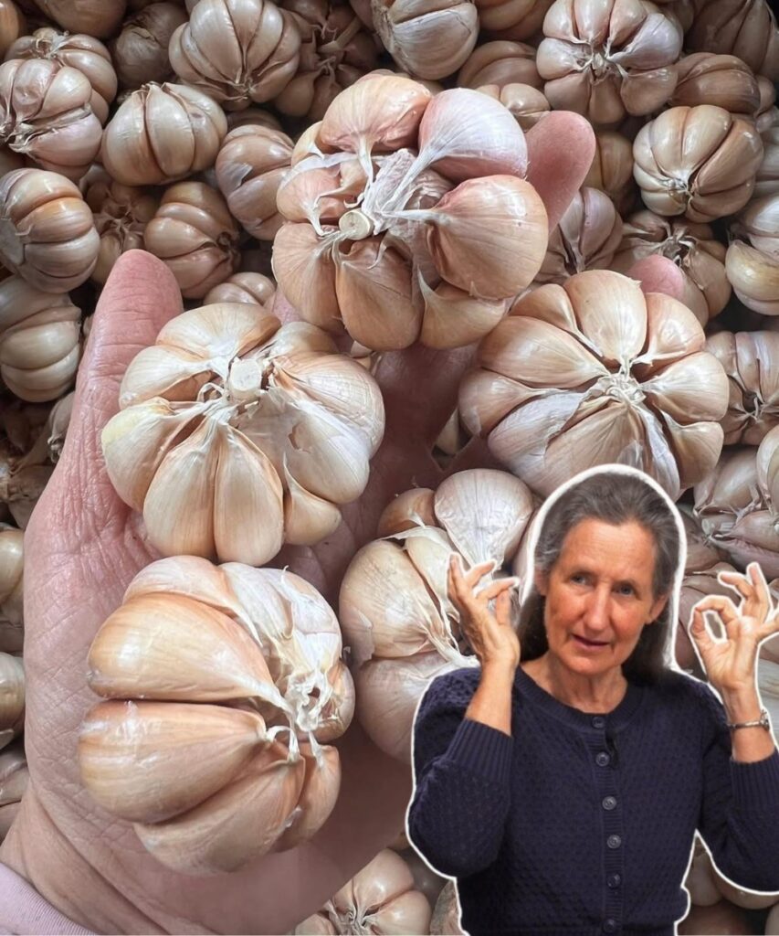 8 Common Mistakes When Using Garlic That Could Harm Your Health