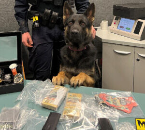 Mount Isa Drug Raid Uncovers Shocking Haul