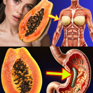 Papaya Seeds: The Overlooked Superfood That Tackles 10 Common Health Problems