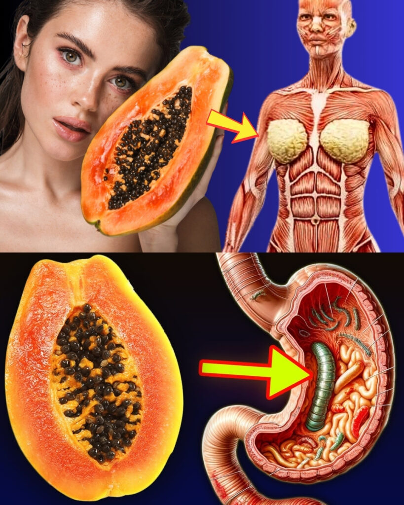Papaya Seeds: The Overlooked Superfood That Tackles 10 Common Health Problems