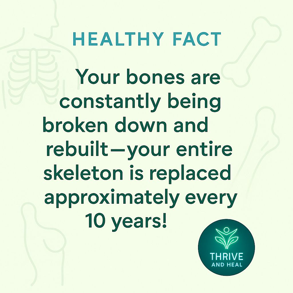 Your Bones Renew Every 10 Years — Here’s How to Keep Them Strong