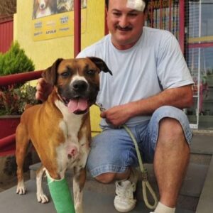 Max’s Bravery: Honoring Heroic Dogs