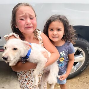 Lost Dog Reunited with 10-Year-Old Girl in Emotional Pet Rescue Story