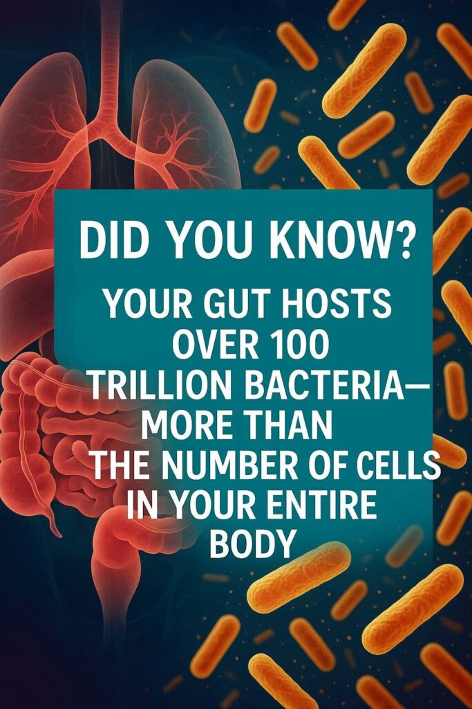 Gut Microbiome: The Hidden Key to Health and Well-Being