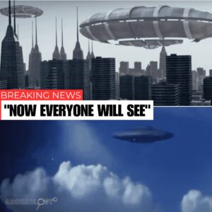 South Africa UFO Claims: Unveiling a Crashed Alien Mystery