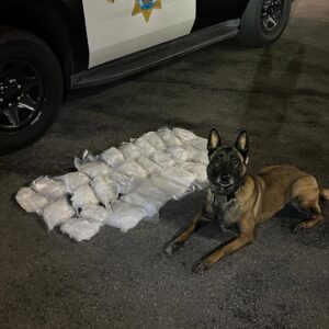 K9 Heroes Bust 40 Pounds of Meth