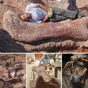 Argentina’s Titanosaur: Unveiling Earth’s Largest Dinosaur