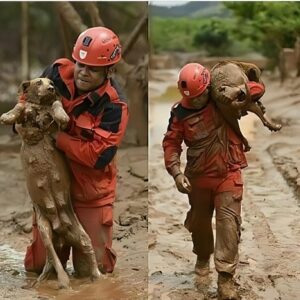 Firefighter’s Heroic Dog Rescue Amid Flood Devastation