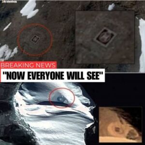Antarctica’s Hidden Disc: Uncovering UFO Secrets