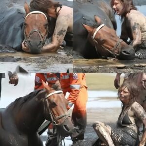 Woman’s Three-Hour Battle Saves Horse from Mudflat