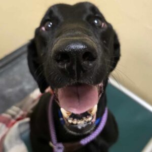 Ali’s Astonishing Recovery After Losing Her World