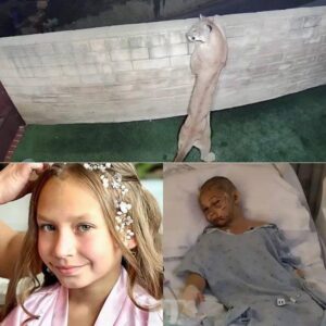 Mountain Lion Attacks Girl in Malibu Backyard