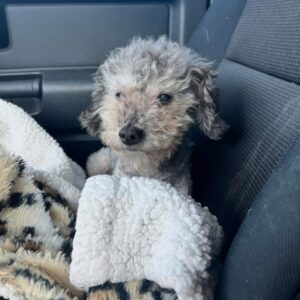 How Crunchy Found Love After Being Discarded Like Trash