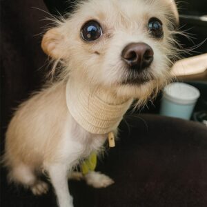 Autumn’s Miraculous Survival After Weeks Trapped in Darkness