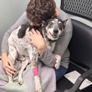 Heartbreak of Saying Goodbye to Toby