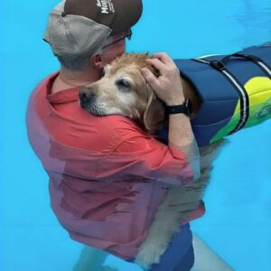 Community Rallies for Dog’s Final Perfect Day